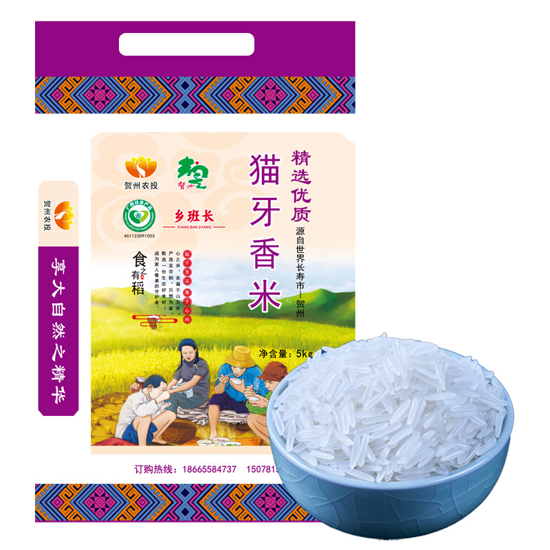 广西猫牙香米当季新米煲仔饭丝苗大米蛋炒饭长粒香米油粘米农家米