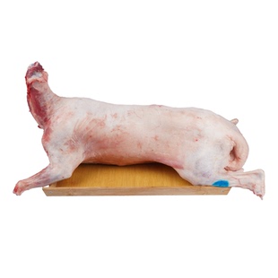 羊肉阿西娅全羊礼盒新鲜国家地标产品高山散养原切滩羊靖远羊羔肉