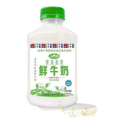 青海湖鲜奶姗鲜牛奶500ML*8瓶