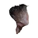 新鲜安康鱼翅膀冷冻鱼翅鱼鳍安康鱼鲜活深海鱼翅海鲜水产整箱批发