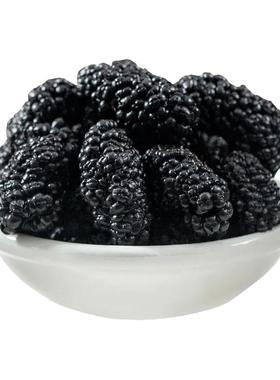 【大粒】新疆野生不特级桑葚干黑桑葚黑桑椹干免洗无沙果干泡水食