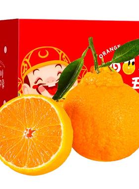 正宗四川不知火丑橘18丑八怪粑粑桔品质当季新鲜水果耙耙丑橘10