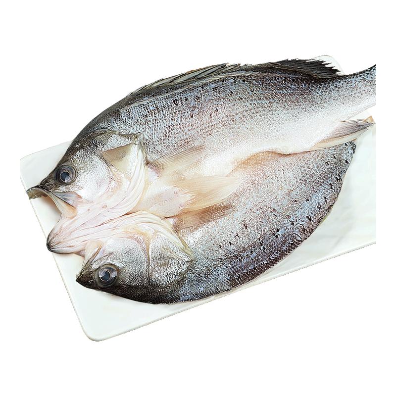 海鲈鱼开背新鲜冷冻鲜活深海鱼白蕉七星海卢鱼水产烤鱼半成品商用