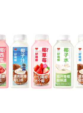味全好喝椰植物蛋白饮料组合300ml*12瓶 椰子汁椰子水冷藏饮料