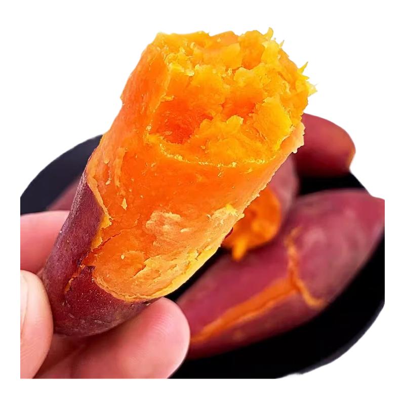 红薯新鲜现挖农家山芋小香薯烤番薯沙地板栗地瓜烟薯整箱批发