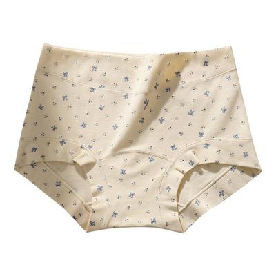 芬腾纯棉0A抗菌加长裆平角内裤女