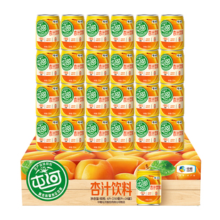 果汁饮料整箱批发果蔬汁饮品轻食 24罐装 中粮屯河杏汁听装 250ml