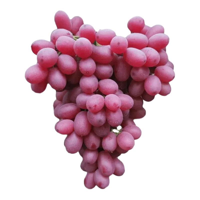 无籽红提克伦生葡萄脆甜爽口孕妇水果