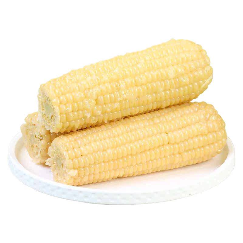 新东北白糯甜粘玉米棒锁鲜真空袋装加热即食粗粮代餐