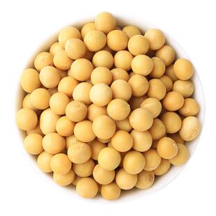 东北黄豆大豆子粒农家自种打豆浆专批发10斤用2025新货生豆芽商用