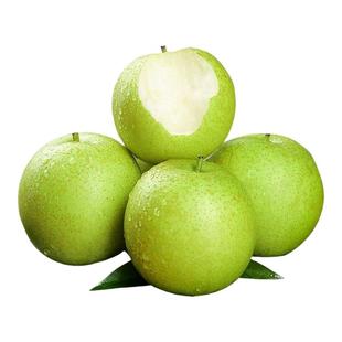 新鲜发货2025年头茬砀山皇冠梨翠冠水果梨子砀山梨汁