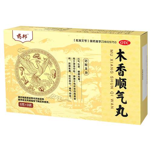 木香顺气丸6g*9袋