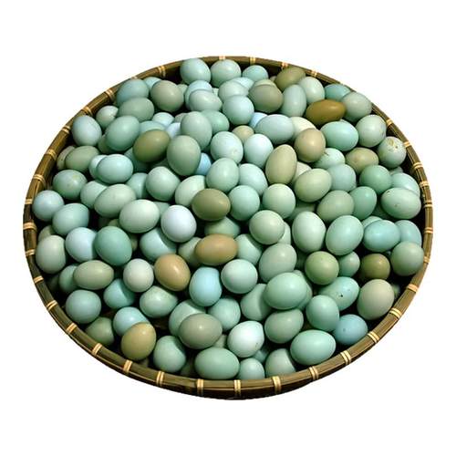 知楚正宗初生乌鸡蛋60枚山鸡蛋