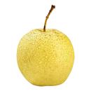 冰糖雪梨正宗河北雪花梨脆甜雪梨赵县雪梨雪花梨批发