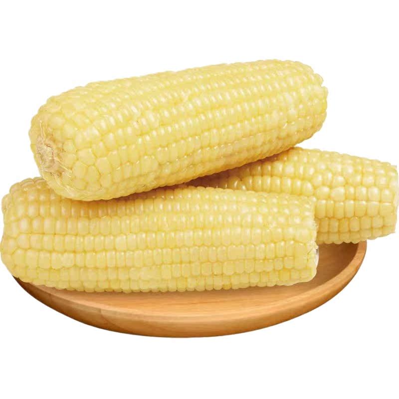 东北2024年新白糯玉米棒真空低脂代餐软糯香甜黏玉米早餐优质粗粮