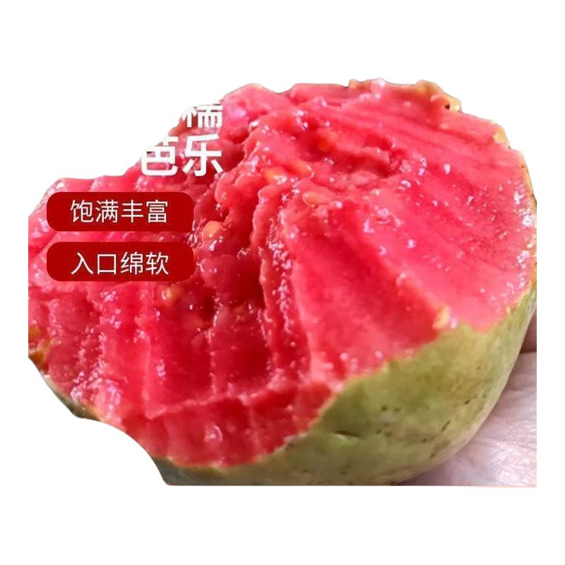 (软糯香】正宗广东红心奶油芭乐现摘当季番石榴鸡屎果低糖水果