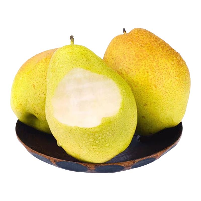 正宗红香酥梨山西香梨新鲜水果梨子脆甜青皮薄酥梨应季水果
