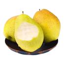 正宗红香酥梨山西香梨新鲜水果梨子脆甜青皮薄酥梨应季 水果