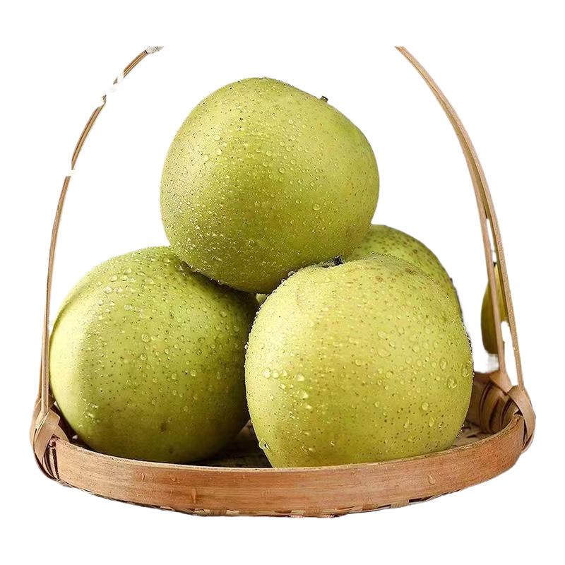 绿皇冠梨3斤装 单果250g+爆汁梨子水果