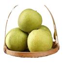 绿皇冠梨3斤装 爆汁梨子水果 单果250g