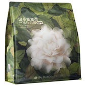 出差旅行免洗日抛裤 babycare一次性内裤 女山茶花月子产妇高腰大码