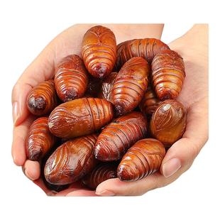 东北鲜活柞蚕蛹大个蚕蛹新鲜活蝉蛹黄蚕蛹大茧蛹高蛋白香蝉蛹500g