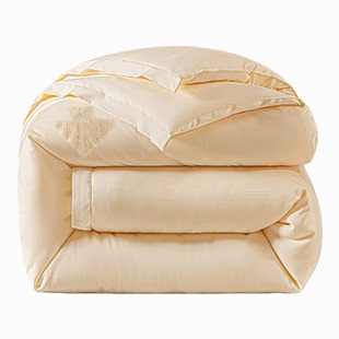 大豆绣花被子冬被棉被芯宿舍单人学生春秋加厚保暖空调被四季 通用