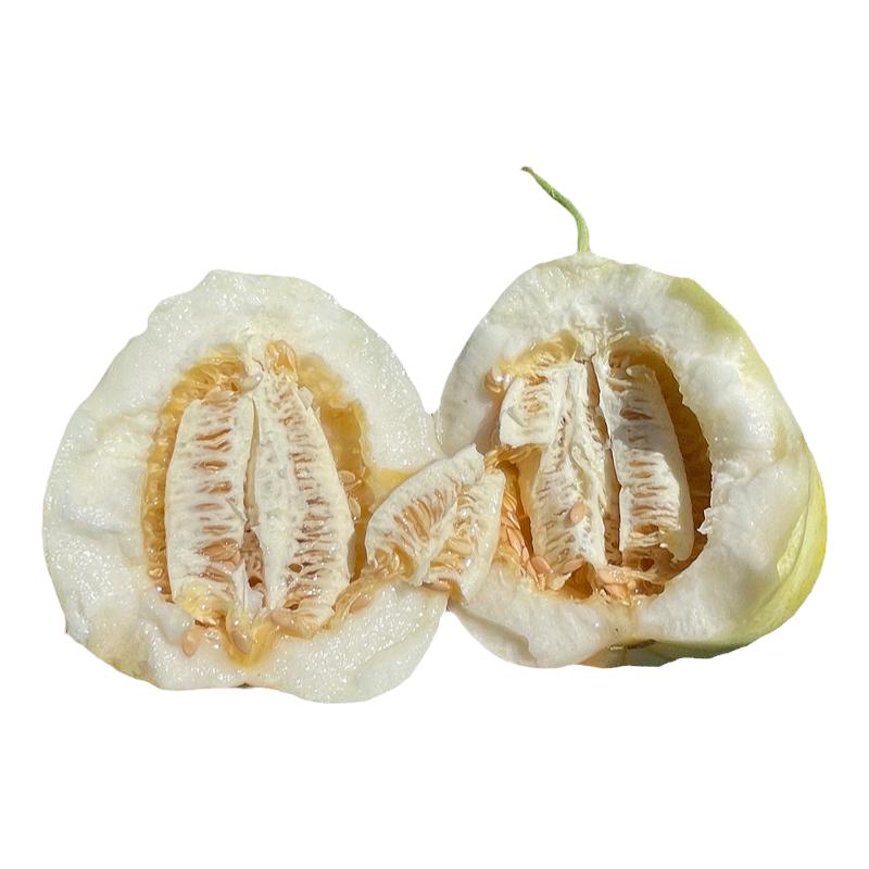 顺丰冷链！黑龙江甜香瓜头茬直发