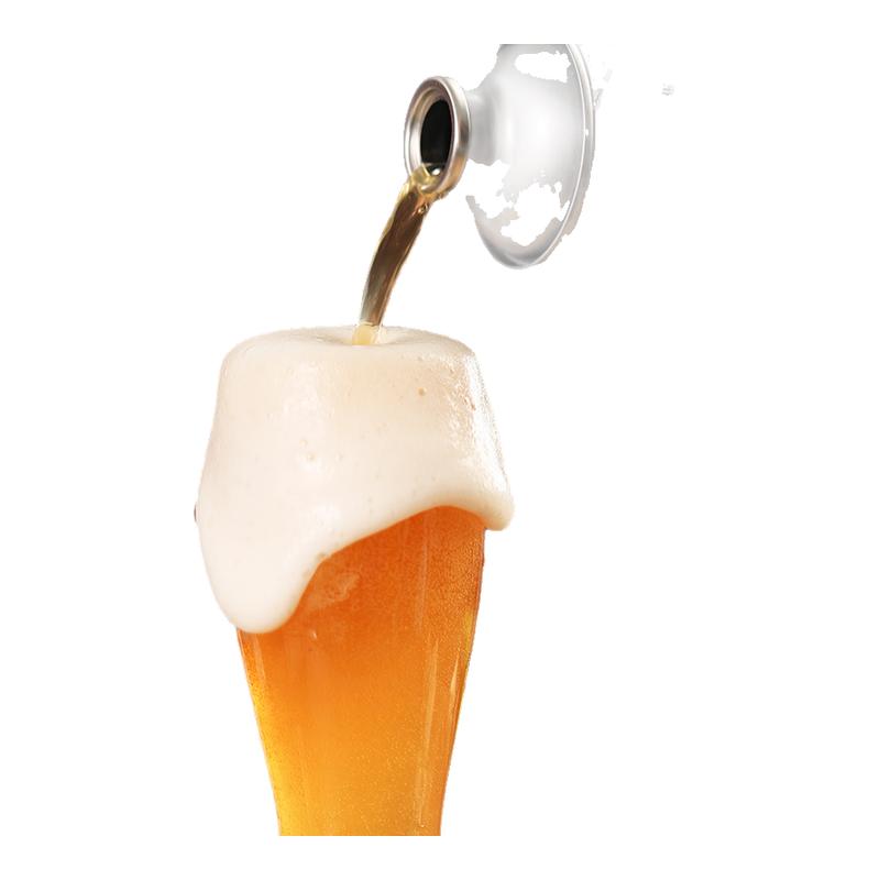 茅記中式信陽原產毛尖精釀啤酒