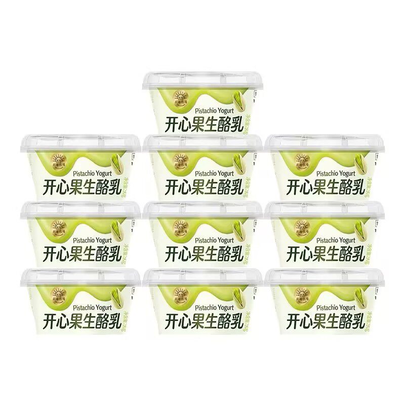 北海牧场开心果醇香厚米生酪乳90g*12杯学生成人早餐下午茶酸牛奶