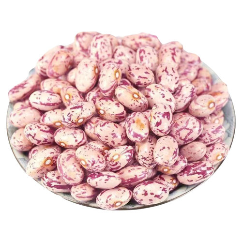 新货云南雀蛋豆子奶花芸豆圆粒红花孔雀豆芙蓉豆五谷杂粮奶花豆
