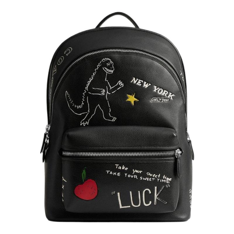 ƷCOACH/ޢʿSKETCHӡCHARTER˫ͨ3125Ԫ