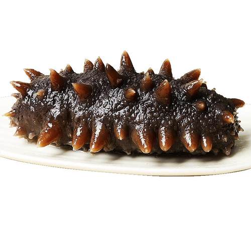 限购！即食海参1只顶6只！