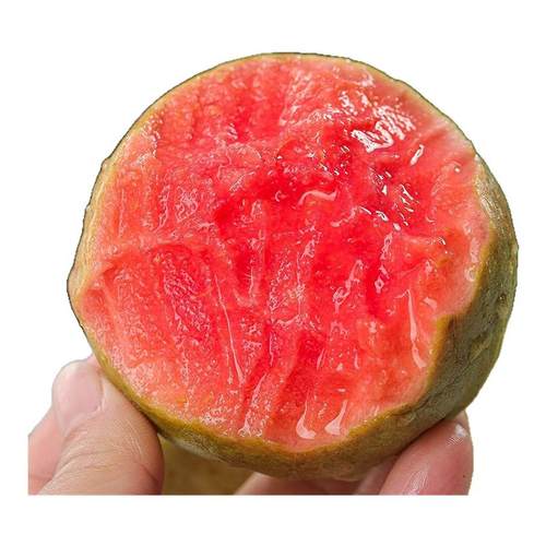 x新品云南软糯红心芭乐奶油芭乐5斤新鲜水果软心番石榴鸡屎果