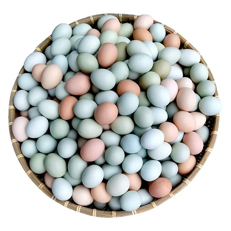 整箱包邮丨顺丰物流送货到家