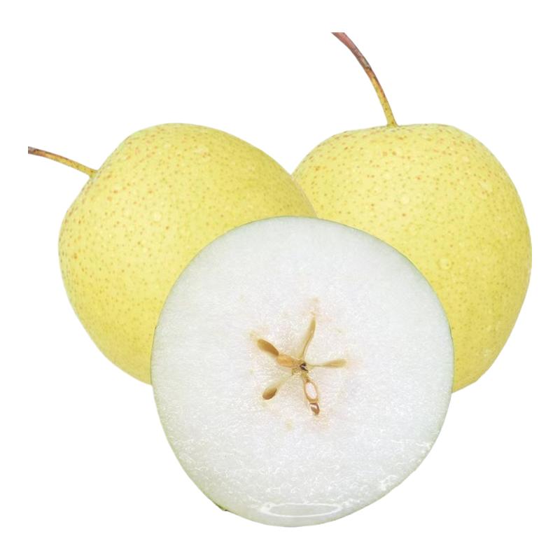 雪梨河北赵州雪花梨新鲜水果甜脆梨子可直接生吃营养丰富
