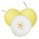 雪梨河北赵州雪花梨新鲜水果甜脆梨子可直接生吃营养丰富