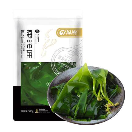 溢源有机海带苗嫩无特级新鲜盐渍海带嫩苗非干货火锅凉拌霞浦特产