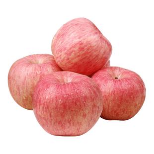 正宗山东烟台红富士平安果一级新鲜苹果水果栖霞当季整箱脆甜10斤