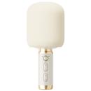 全民K歌 无线蓝牙家用K歌话筒音响一体麦克风声卡娱乐唱歌家庭KTV