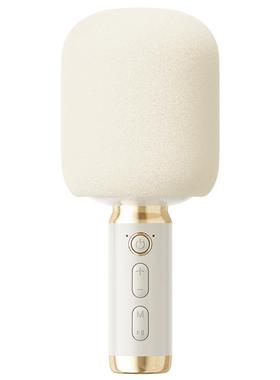 全民K歌 无线蓝牙家用K歌话筒音响一体麦克风声卡娱乐唱歌家庭KTV