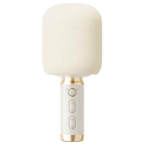 全民K歌家用话筒音响一体麦克风