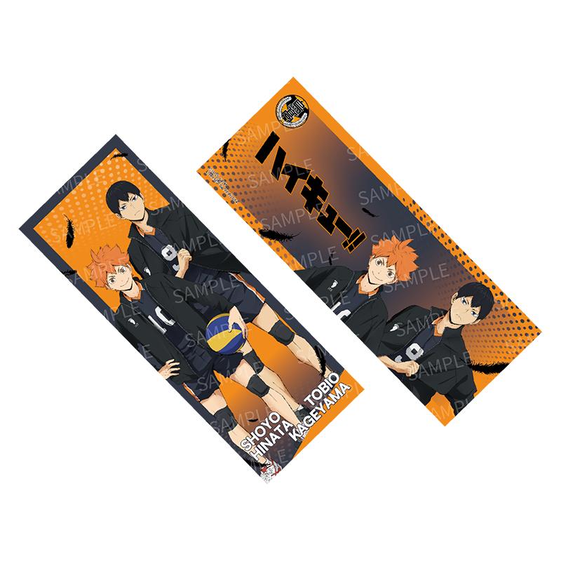 排球少年双人镭射票日向翔阳