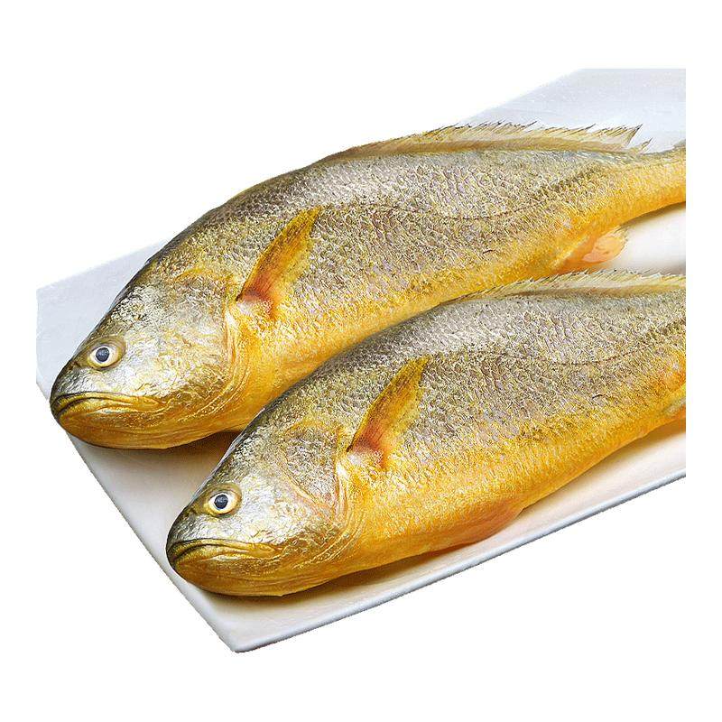 宁德大黄鱼礼盒装深海小黄花鱼鲜活冷冻生鲜海鲜海鱼新鲜水产商用,水产肉类/新鲜蔬果/熟食,黄鱼,淘宝优惠券,粉丝福利购,淘宝优惠卷