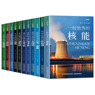 全十一册新能源书籍太阳风生物质地热核氢锂煤油气海洋电能科普大全 全面讲解能源开发利用技术原理与实践应用 科学基础知识原理