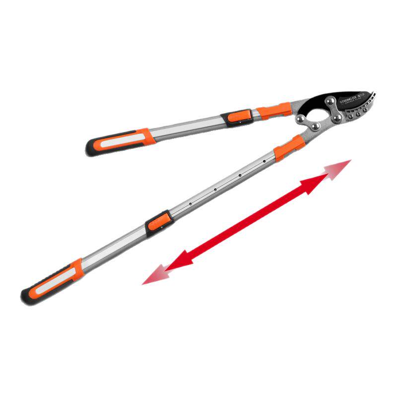 ���ڲ�������Ƭ �޼�����ǿ���޴�����֦��֦ʡ��