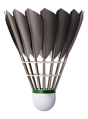 李宁凯胜羽毛球正品耐用鹅毛KDB03室内外防风专业耐打KGB03尼龙球