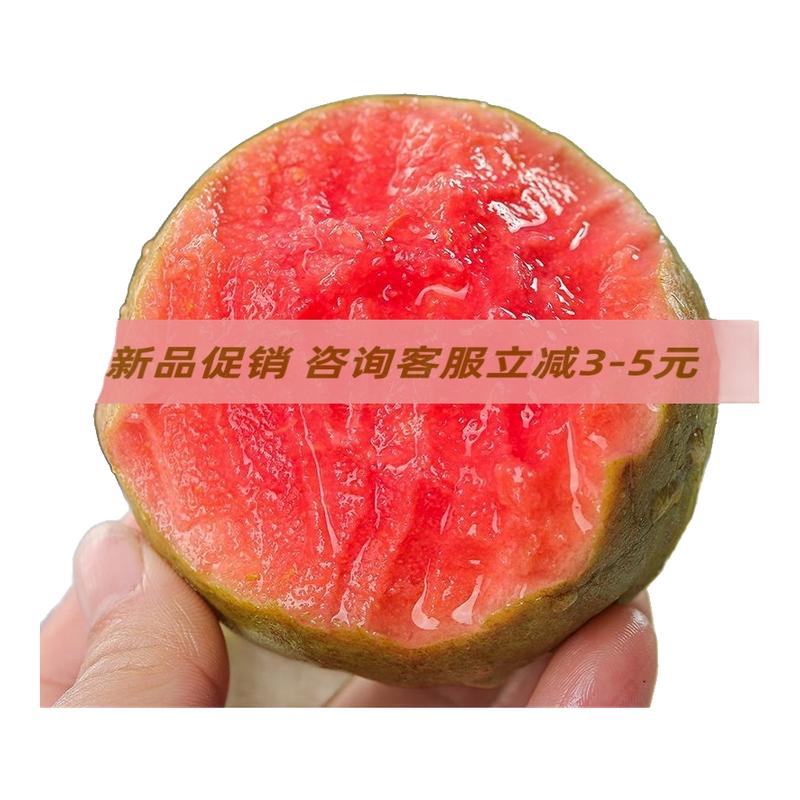 s顺丰广东云南软糯红心芭乐奶油芭乐新鲜包邮当季软心番石榴