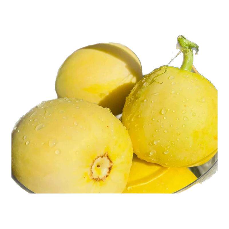 ɽ������20С�۷����ͷ����ժ���۹�����ˮ��Ӧ�����۹�������� 3�� С��|150-230g|��С���������� 14.62Ԫ