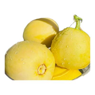 小蜜蜂甜瓜脆甜多汁已售99w+